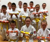 Snw Karate Chester image 5