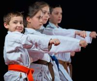 Snw Karate Chester image 4