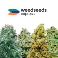 WeedSeedsExpress UK image 2