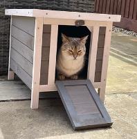 Cat Houses UK image 3