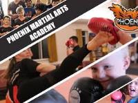 Phoenix Martial Arts Academy image 2