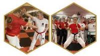 Phoenix Martial Arts Academy image 3