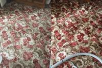 Aura Carpet Cleaning image 3