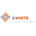 Blackman & White Ltd logo