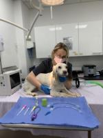 South London Emergency Veterinary Clinic image 4