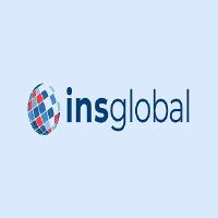 ins global consulting image 1