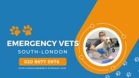 South London Emergency Veterinary Clinic image 11