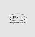 GEOTEC Surveys Limited logo