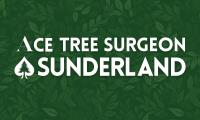 Ace Tree Surgeon Sunderland image 1