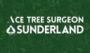 Ace Tree Surgeon Sunderland logo