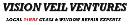 Vision Veil Ventures logo
