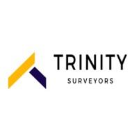 Trinity Surveyors image 1