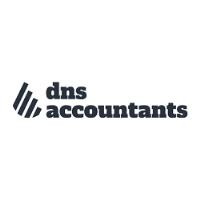 dns accountants image 1