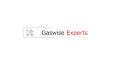 Gaswise Experts logo