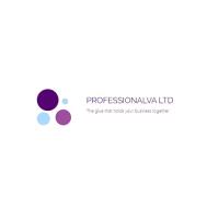 ProfessionalVA Ltd image 1