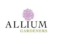 Allium Gardeners image 5