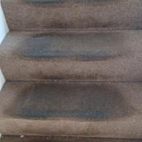 PS Carpets and Upholstery Cleaning image 6