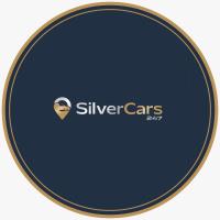 Silver Cars 247 image 1
