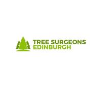 Tree Surgeon Edinburgh image 1