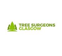 Tree Surgeon Glasgow image 1