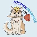 Looman Drainage logo