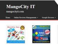 Mango City IT image 2