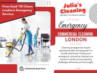 JULIA'S CLEANING image 5