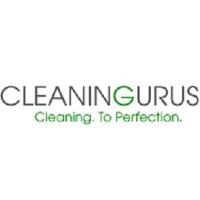 The Cleaning Gurus image 11
