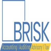 Accounting and Advisory Services-Brisk image 2