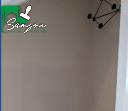 Samson Painting & Decorating logo