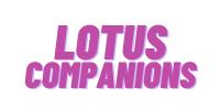 Lotus Companions image 1