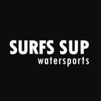 Surfs Up image 1