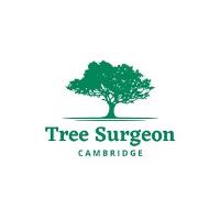 Tree Surgeon Cambridge image 1