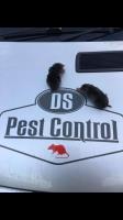 D S Pest Control  image 16