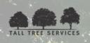 Tall Tree Services Ltd logo