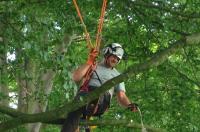 Tree Surgeon London image 1