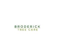 Broderick Tree Services image 1