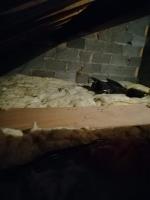 UK Loft Insulation Removal Experts image 8