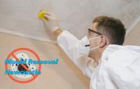 Mould Removal Newcastle image 2