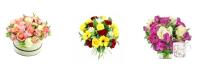 Sidcup Florist image 1