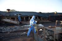 A&D Asbestos Removal Hastings Ltd image 1