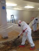 ProRid Asbestos Removal Blackpool Ltd image 1