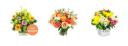 Florist Belsize Park logo