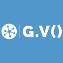 gdotv Ltd logo