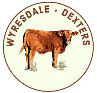 Wyresdale Dexters image 1