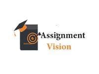 Assignment Vision image 1