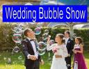 Wedding bubble show logo