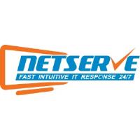 Netserve LTD image 1