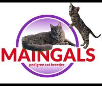 Maingals image 2