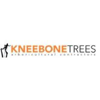 Kneebone Trees Ltd image 4